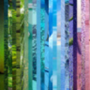 Meet your Posher, Maya